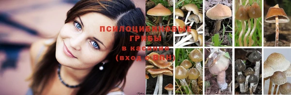 spice Осташков